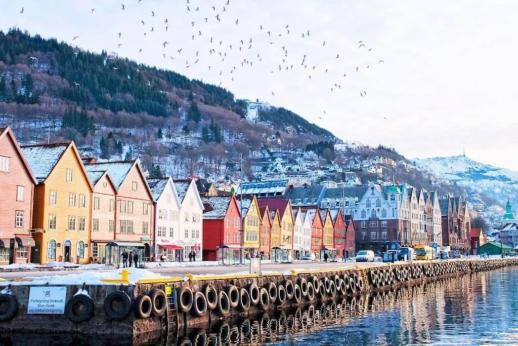 Spacious Historical Art Oasis In The City Center Bergen 0*,  Norwegia